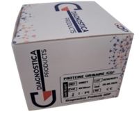 PROTEIN URINAIRE